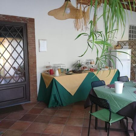 Etnante Bed & Breakfast Zafferana Etnea Exterior photo